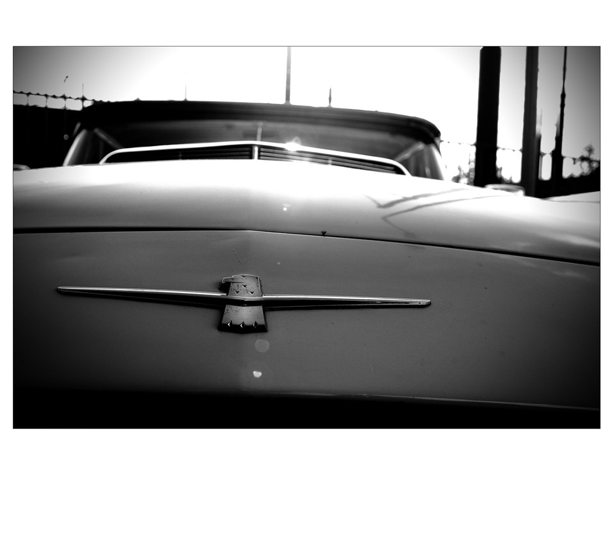 Cars cult power lifestyle wheels americanmuscle blackandwhitephotography cruisebrothers DenHaag oldtimers