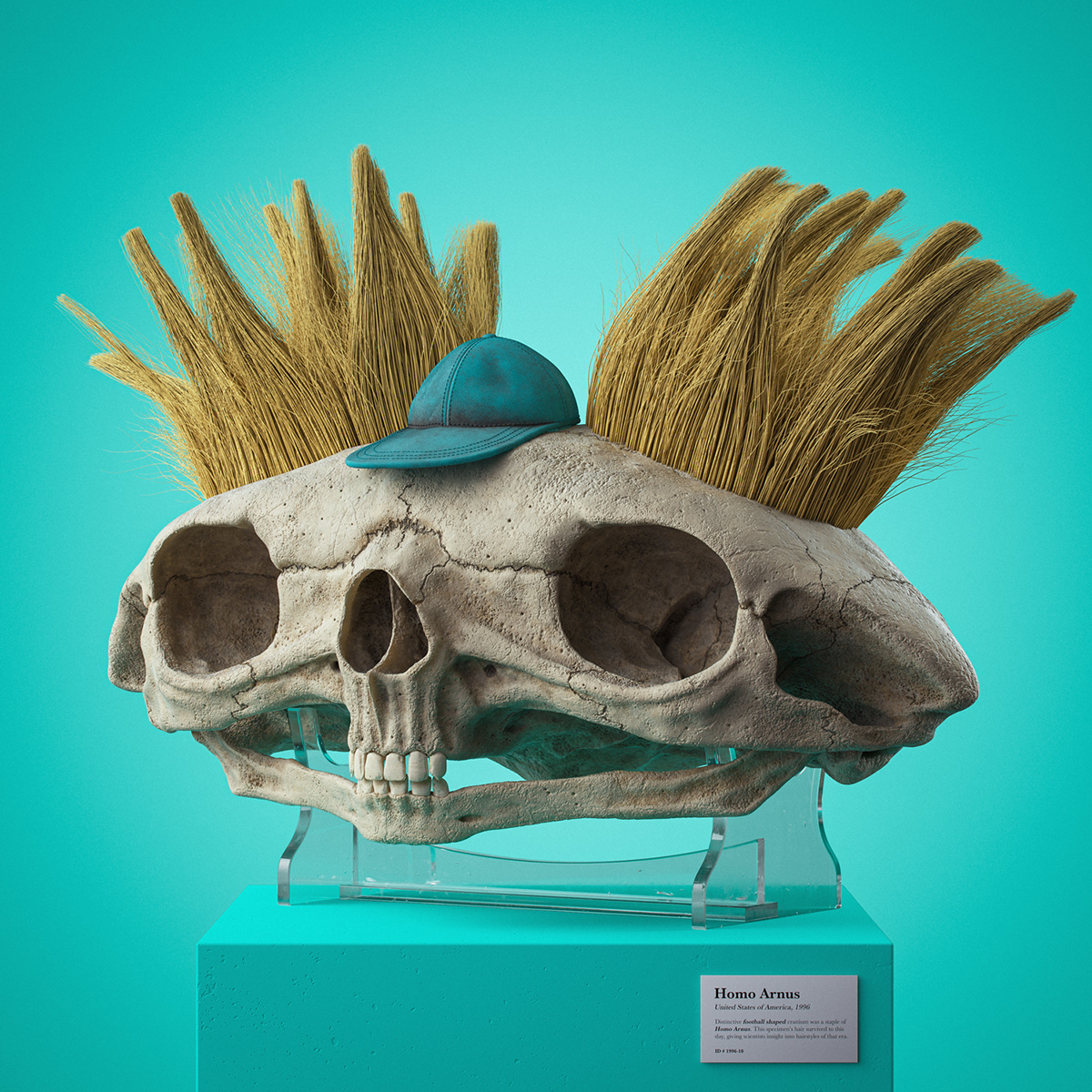 3D anatomy bones cartoon fossils pop culture Render skull