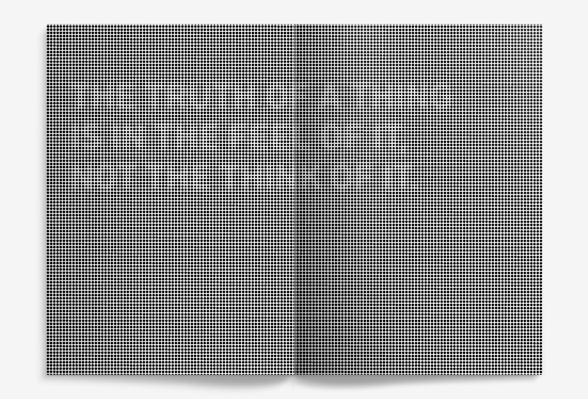 graphic deisgn devanagari Braille LCC ma 2011 identity