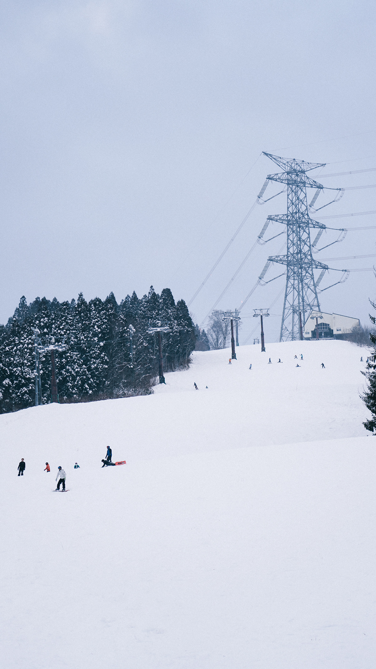 japan niigata Photography  sking snow Snowboarding suburbs Travel winter yuzawa