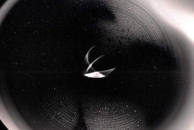 Kadavre exquis photograms pornograms black & white art direction textures condoms france Dark room visual abstract
