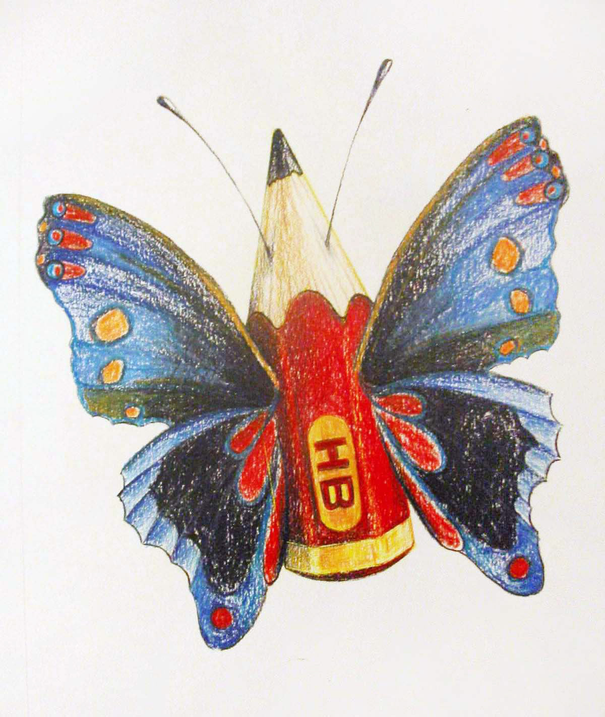 pencil illustrazione ilustrasyon illustrationseries drawingproject surreal Metamorphosis materialtransformation butterfly pencils Transformation aysenurilkisik