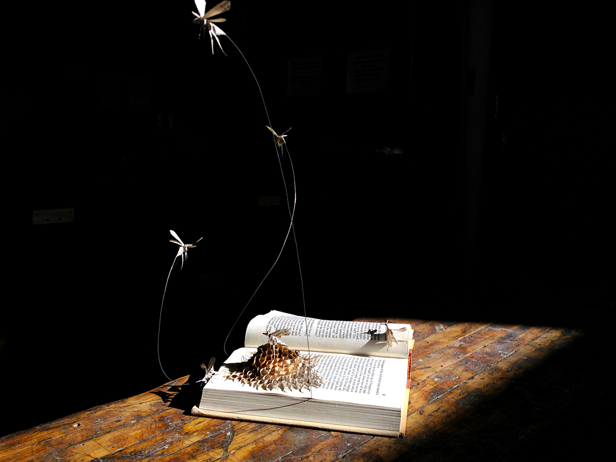 3d design paper papercraft sculpture paper sculpture wasps wasp book