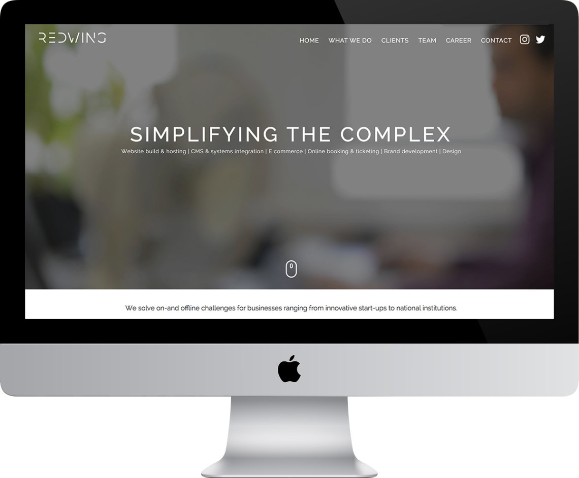 Website Web Design  design digital ux UI