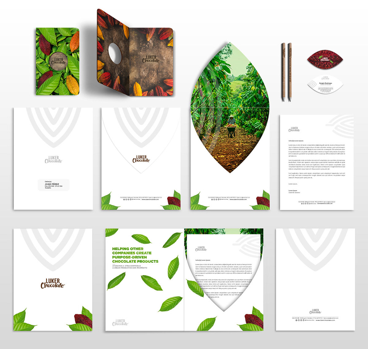 chocolate colombia branding  graphic design  flavour print art direction 