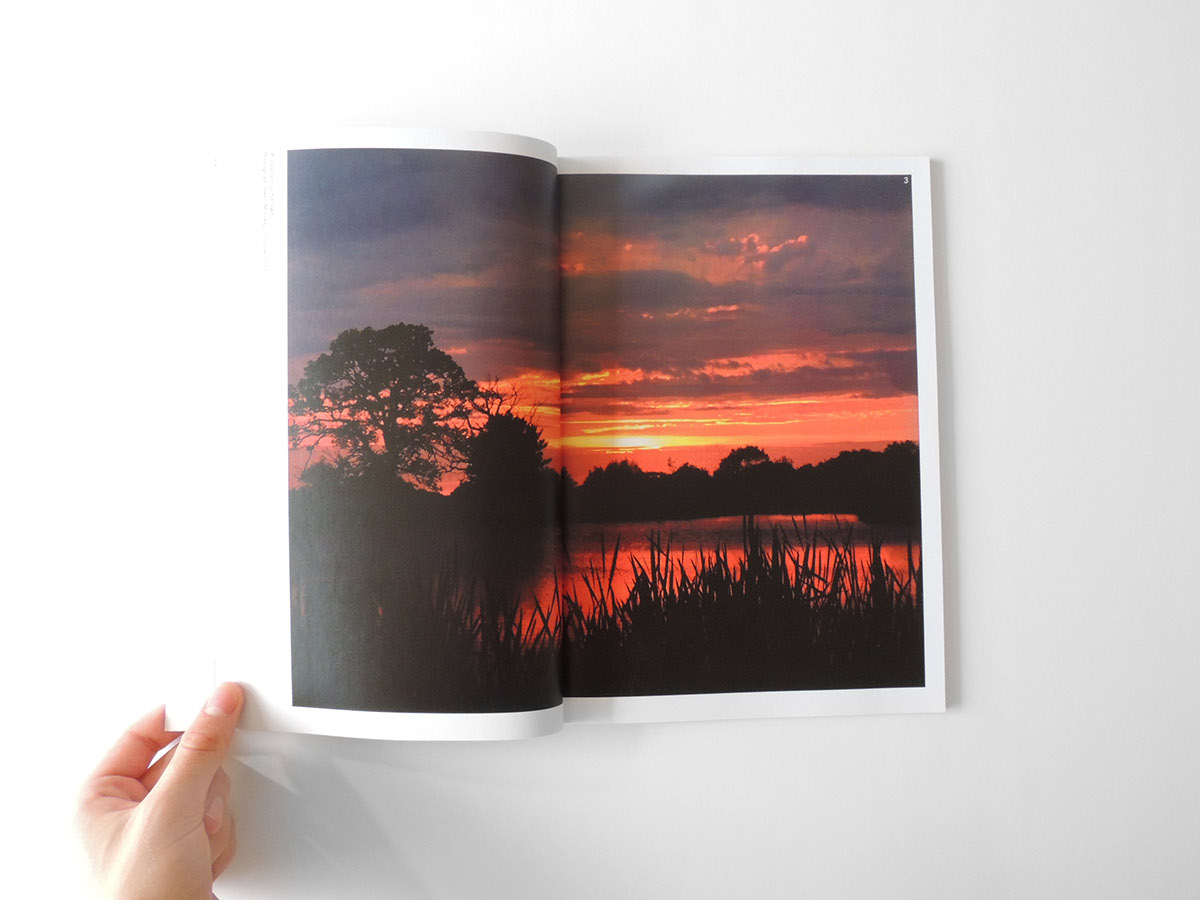sunset magazine design publication typographic information design infographic photographs volume 1