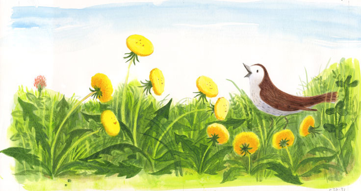 children's book Schwartz & Wade random house sparrow dandelion