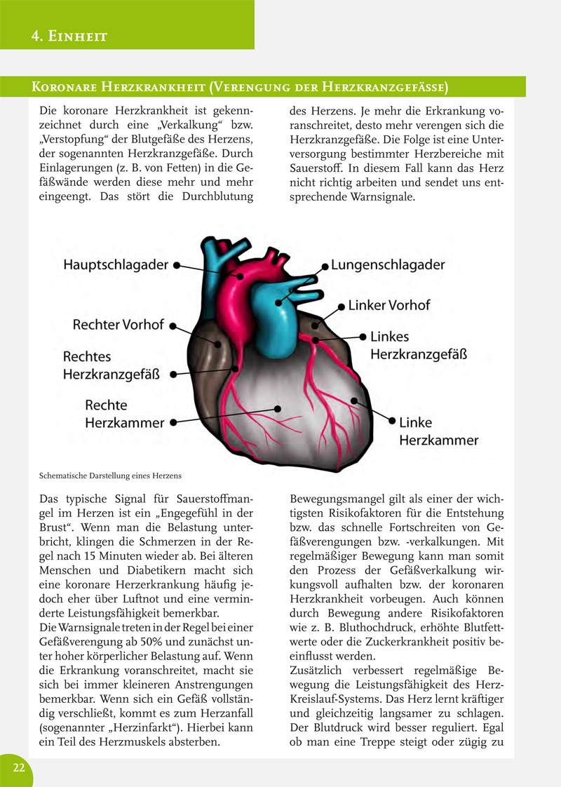Adobe Portfolio anatomy medicine Health sports research