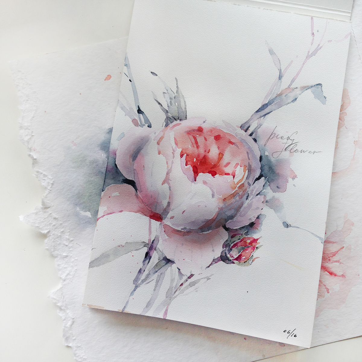 watercolor flower