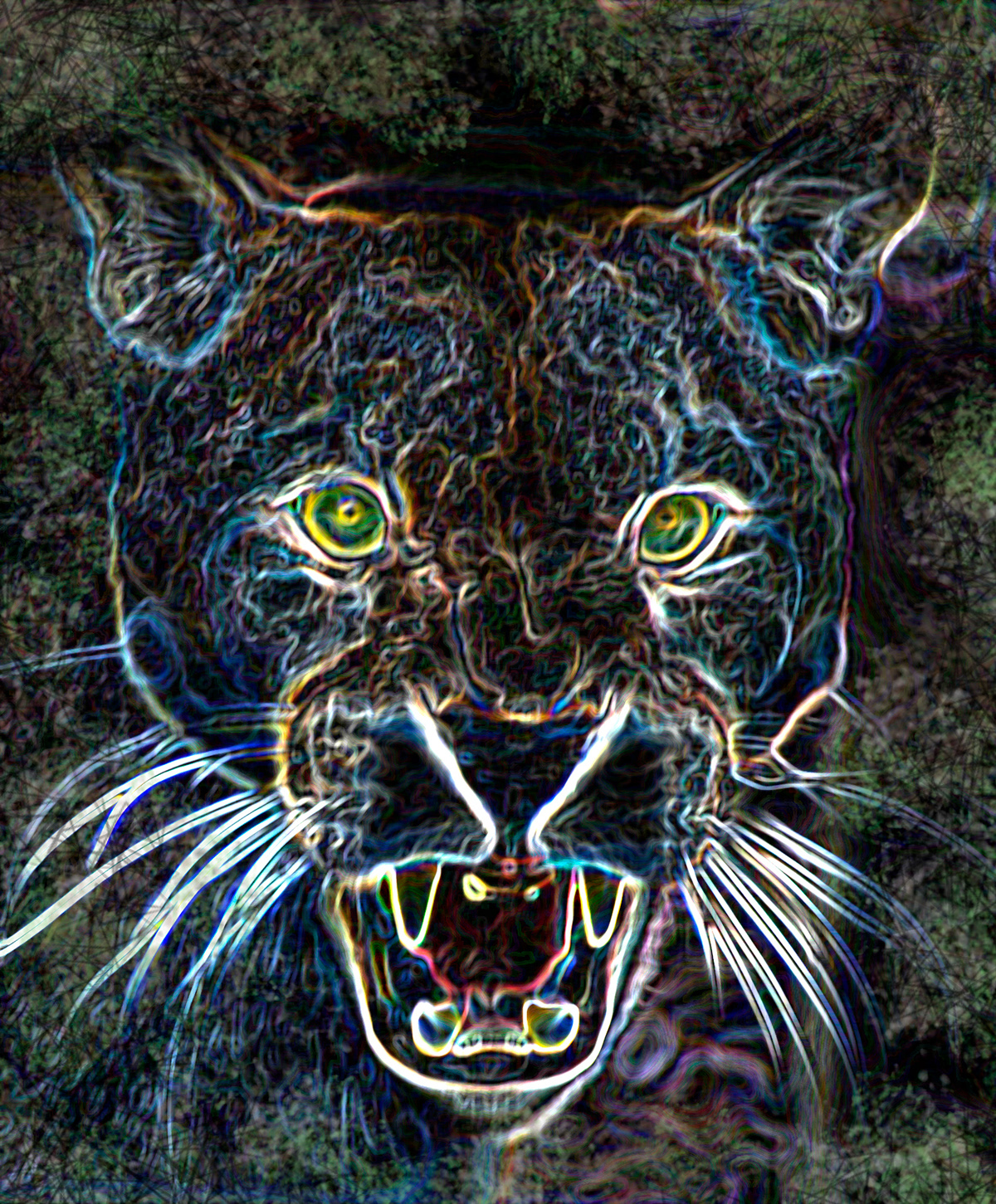 Adobe Portfolio big cats cougar lion puma photoshop animals Canon Digital Cameras equestrian horse Nature wild life