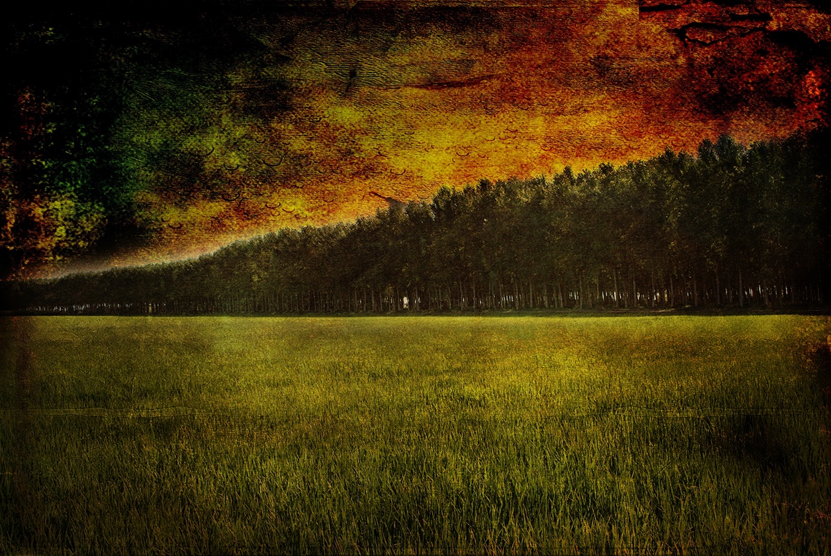 Park countryside Landscape trees artwork Exhibition  milan fields textures textured photoshop Gimp colors photomanipulation Pictorial
