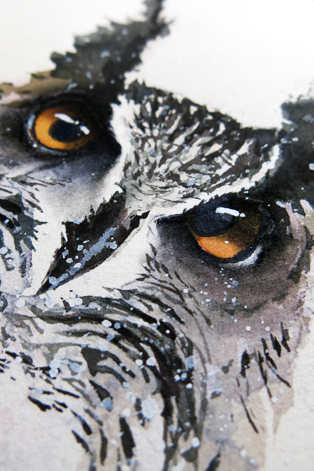 watercolor Eagle eye owl