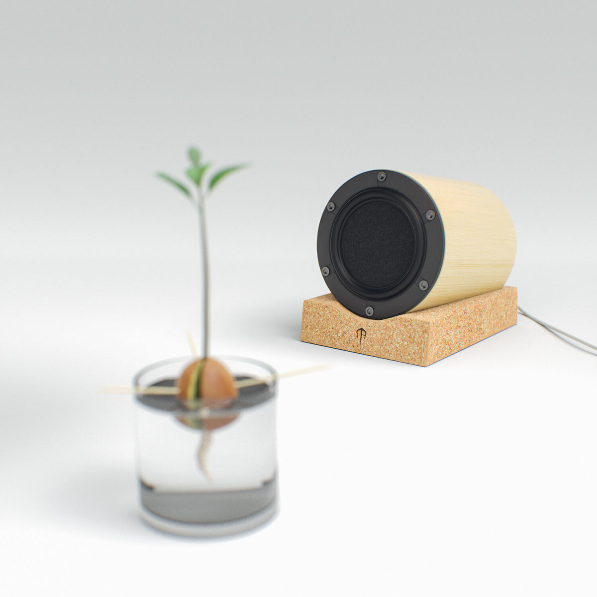 bamboo cork industrial product design manufacturing prototype concept 3D blender Fusion360 model speakers Audio sound