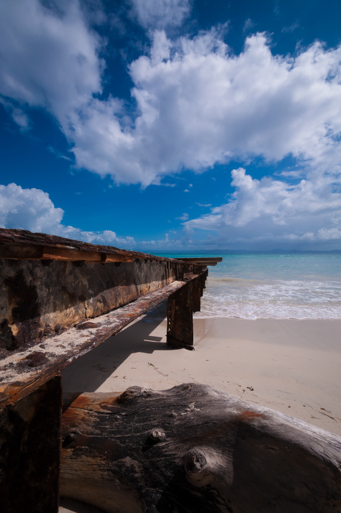 beach Coconut Palm Tree's Cayo Levantado Landscape Ocean Travel Dominican Replublic Sunny Destinatioins