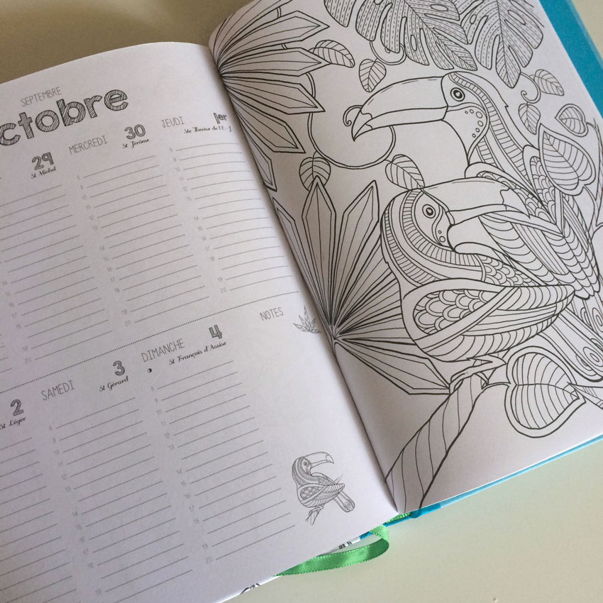 Adobe Portfolio ailes agenda coloring book line drawing wings birds
