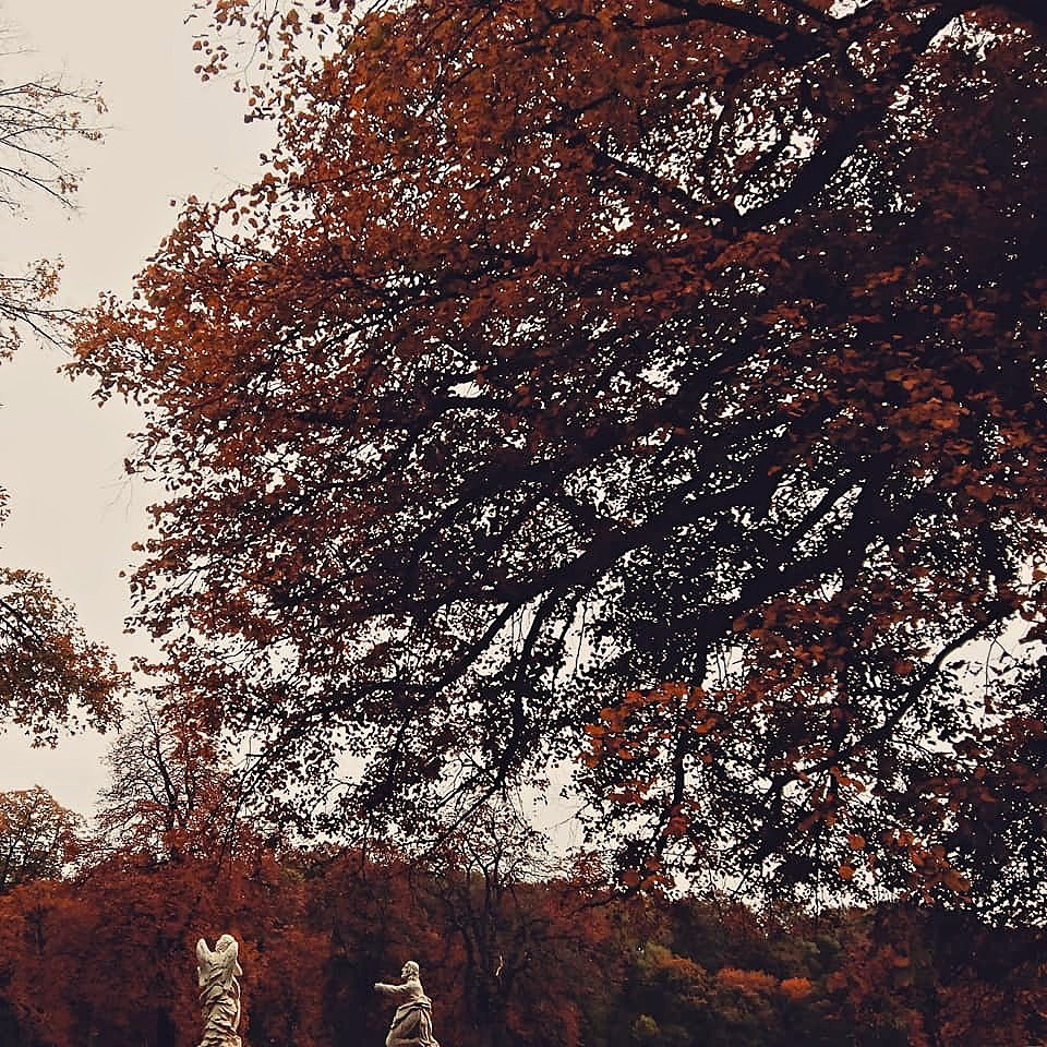 autumn trees leaves colours red statue Carpathians