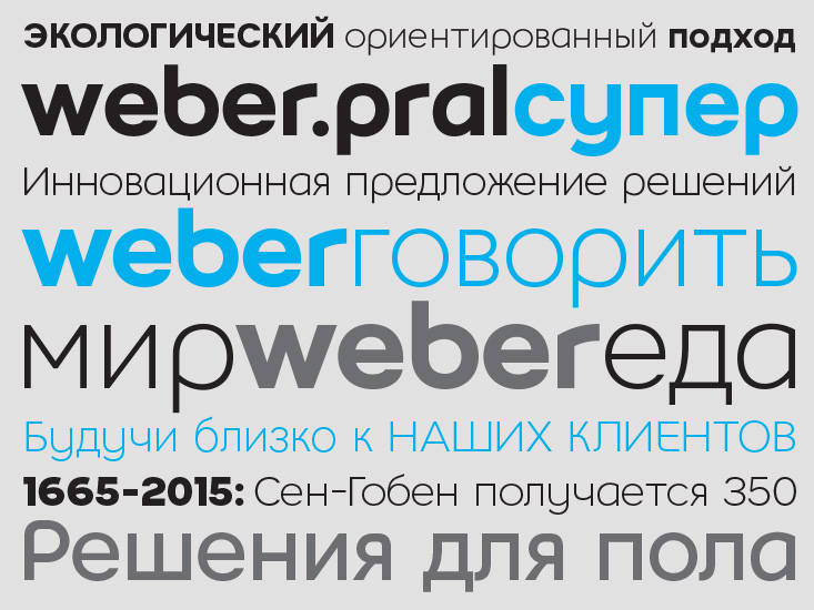 Custom Typefaces fonts