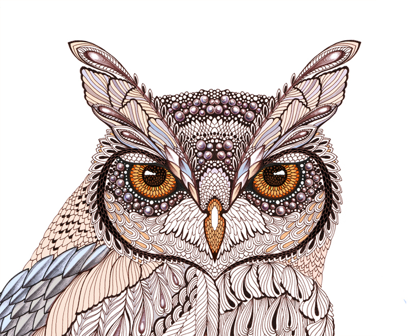 OWL. Design for www.atriumnyc.com on Behance