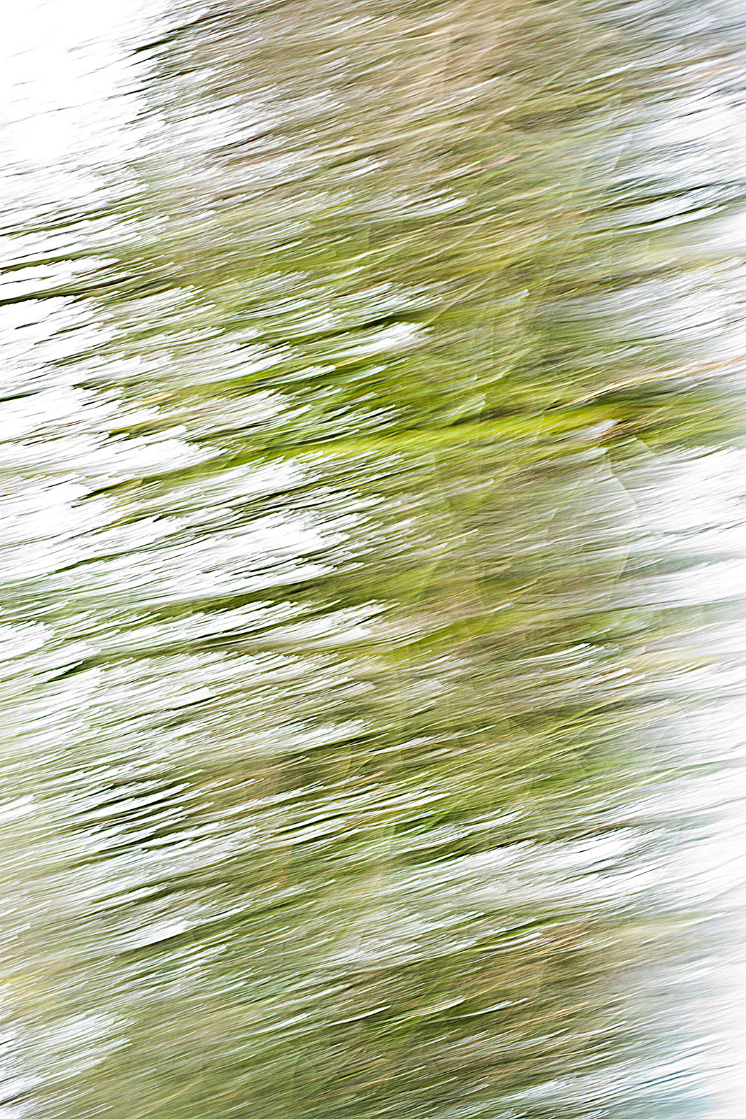 snow art walk Landscape motion blur abstract
