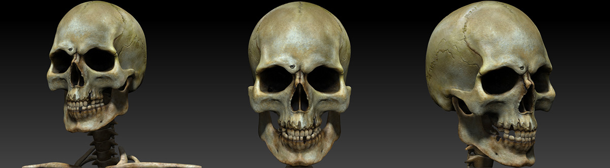 death skull brainpan death's head