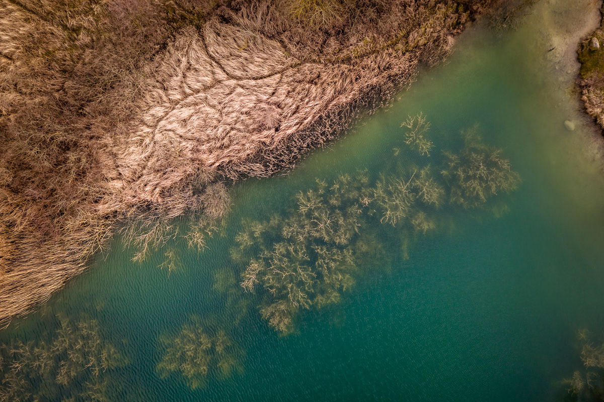 abstract Aerial colors drone flow forest Landscape minimal paint water