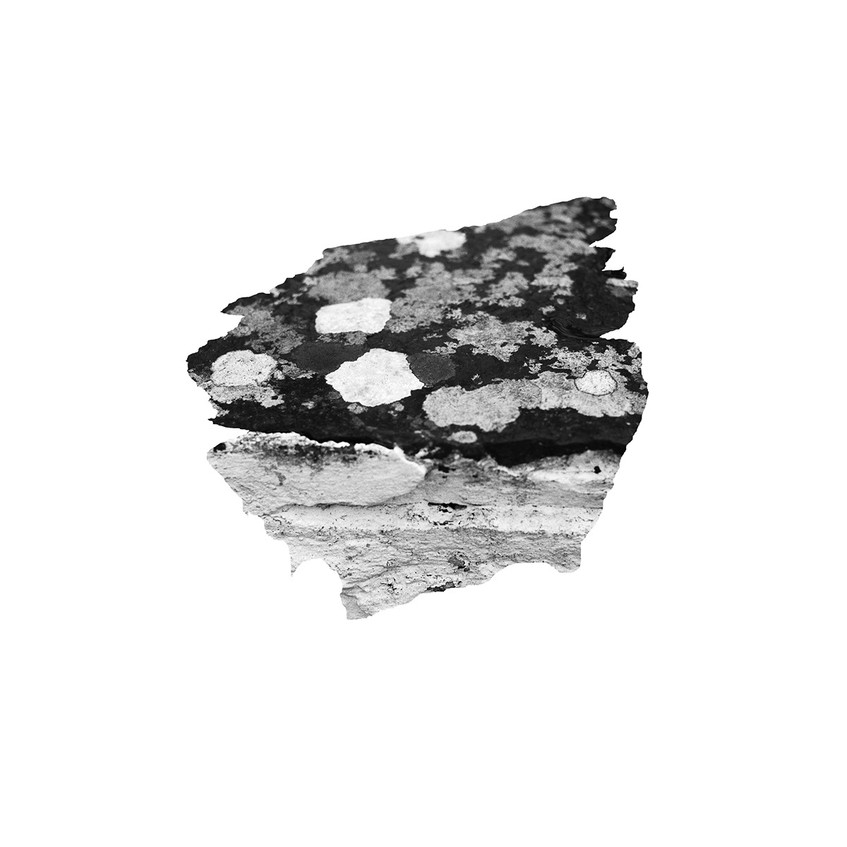 earth stone Landscape Hasselblad film scan