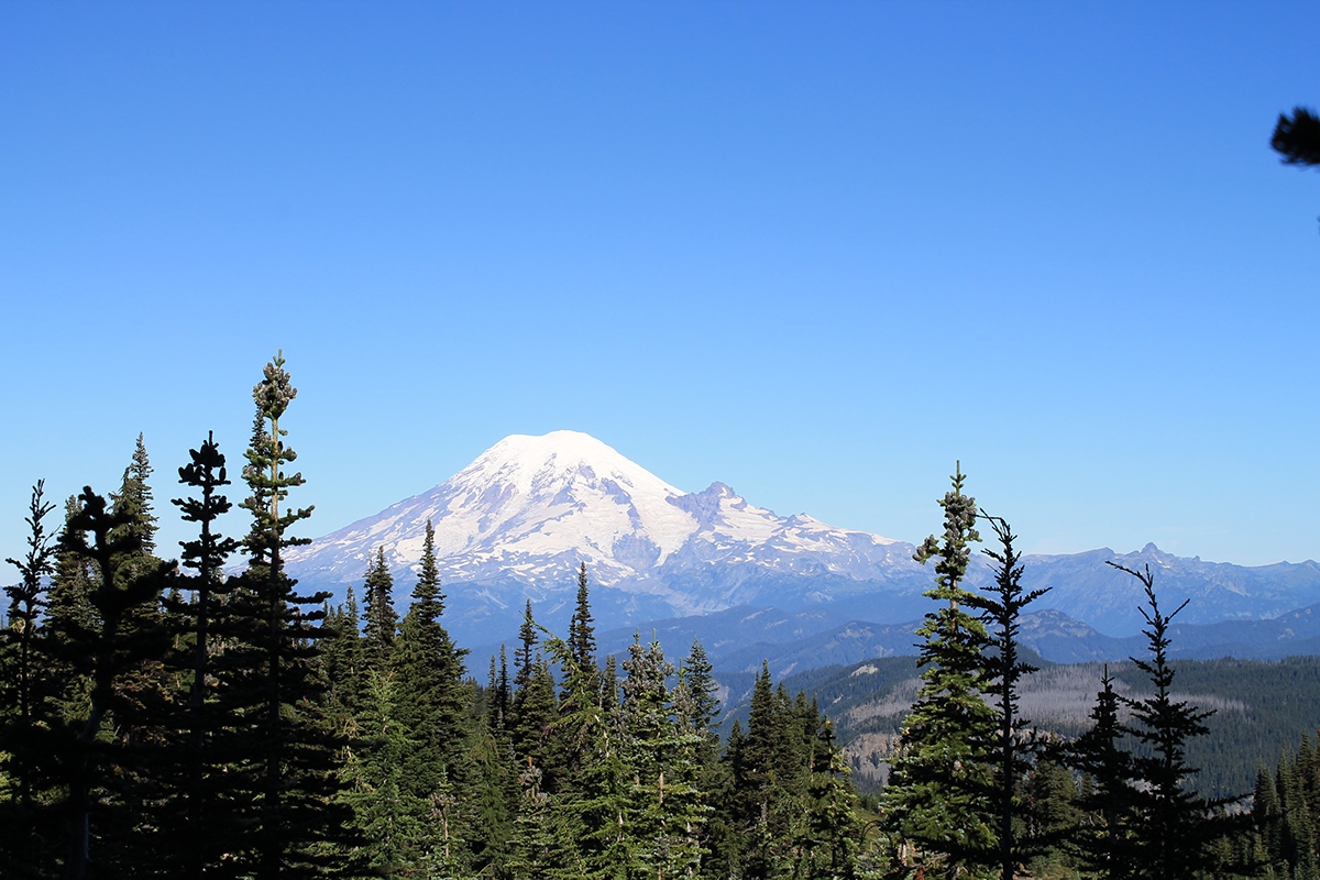 nature photography Nature trees mountains mt adams Mt Rainier hiking Backpacking canon t3 Washington pacific northwest PNW Pacific Crest Trail PCT