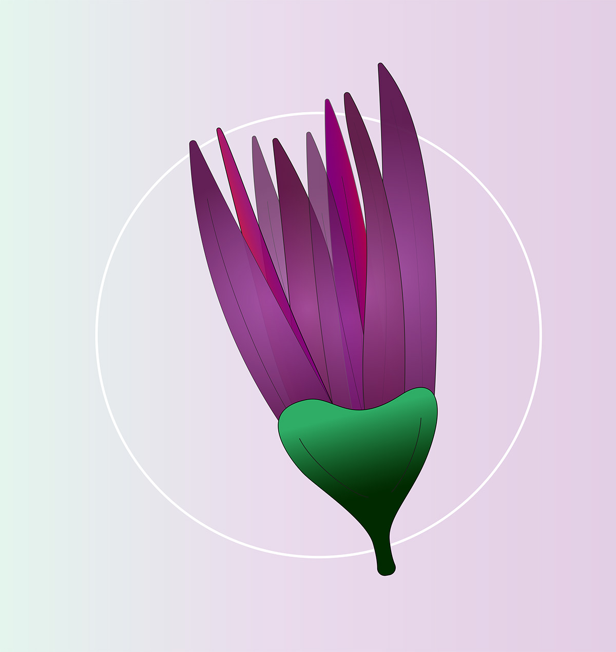 artwork vector digital illustration concept art adobe illustrator botanical floral
