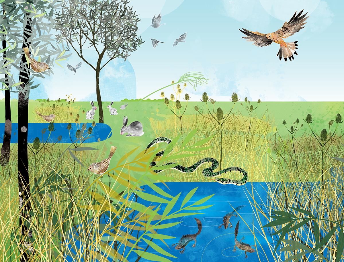 EDF West Burton Visitor Centre illustrated mural large scale artwork nature mural wallpaper animals and trees illustrated landscape