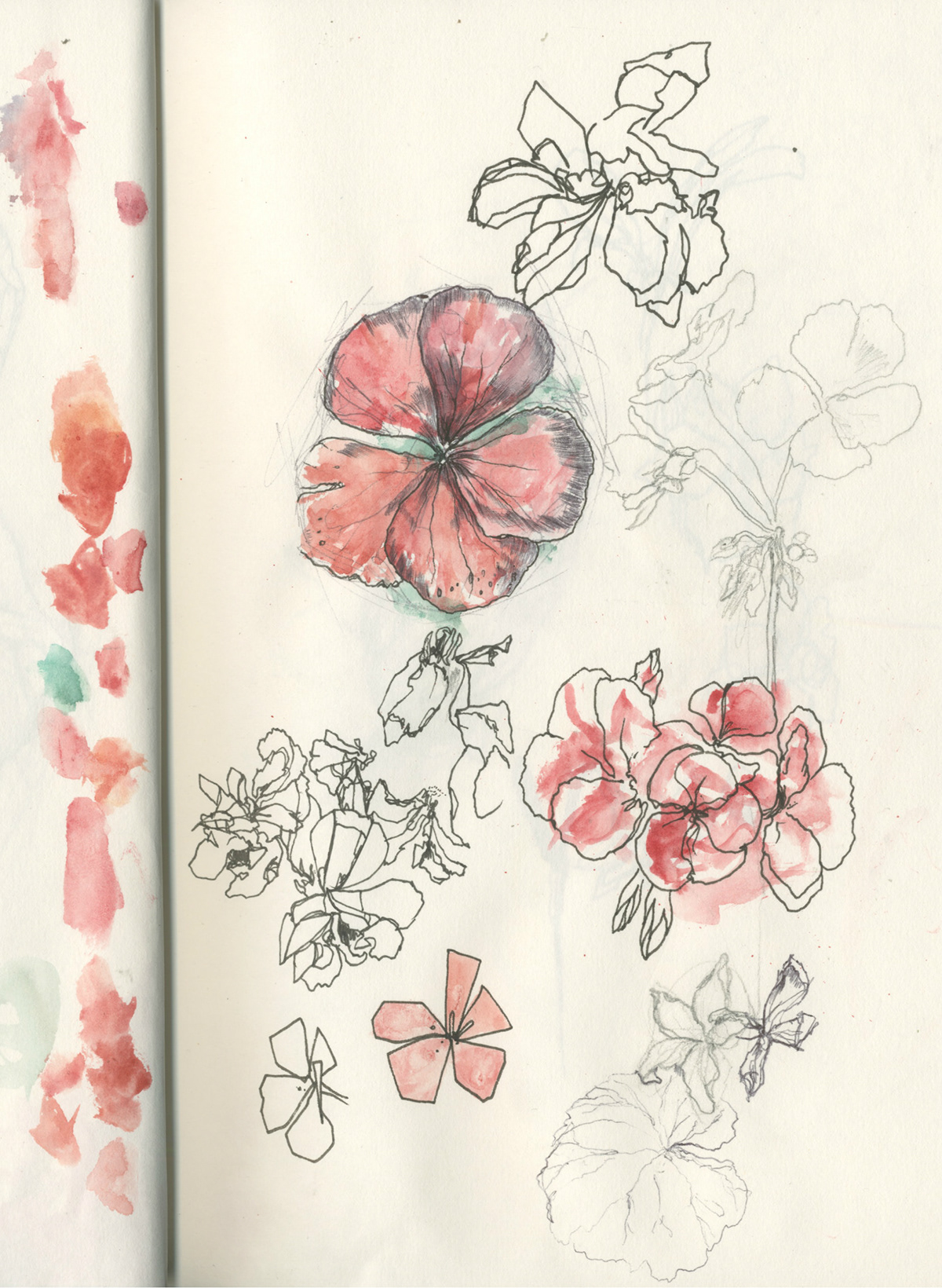 watercolour pen ballpoint Fineliners irish dublin sketch sketchbook doodles ideas design Work  progress