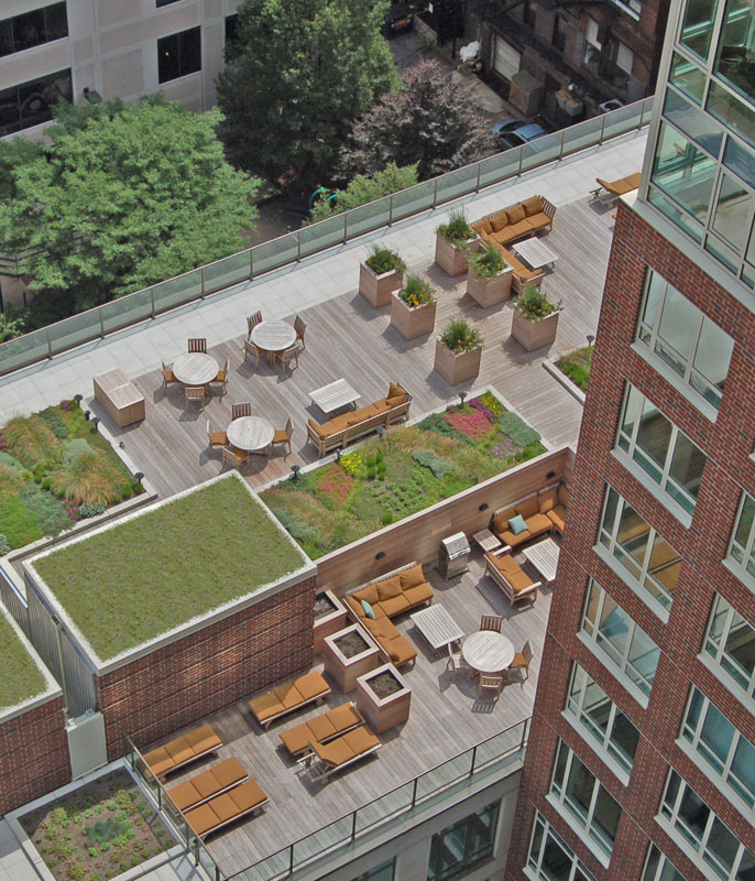 Green Roof roof roof terrace Urban Landscape Architecture 