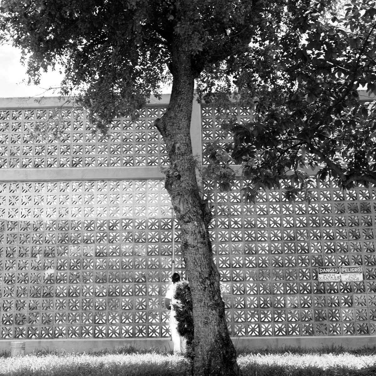 black and white x100 digital photo Street city people portrait miami usa Travel report