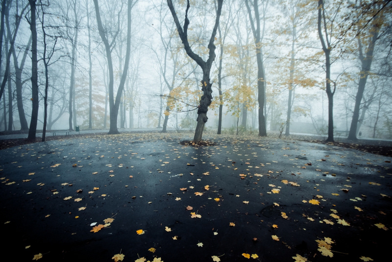 darknes autumn autumn dark fog Park place krakow