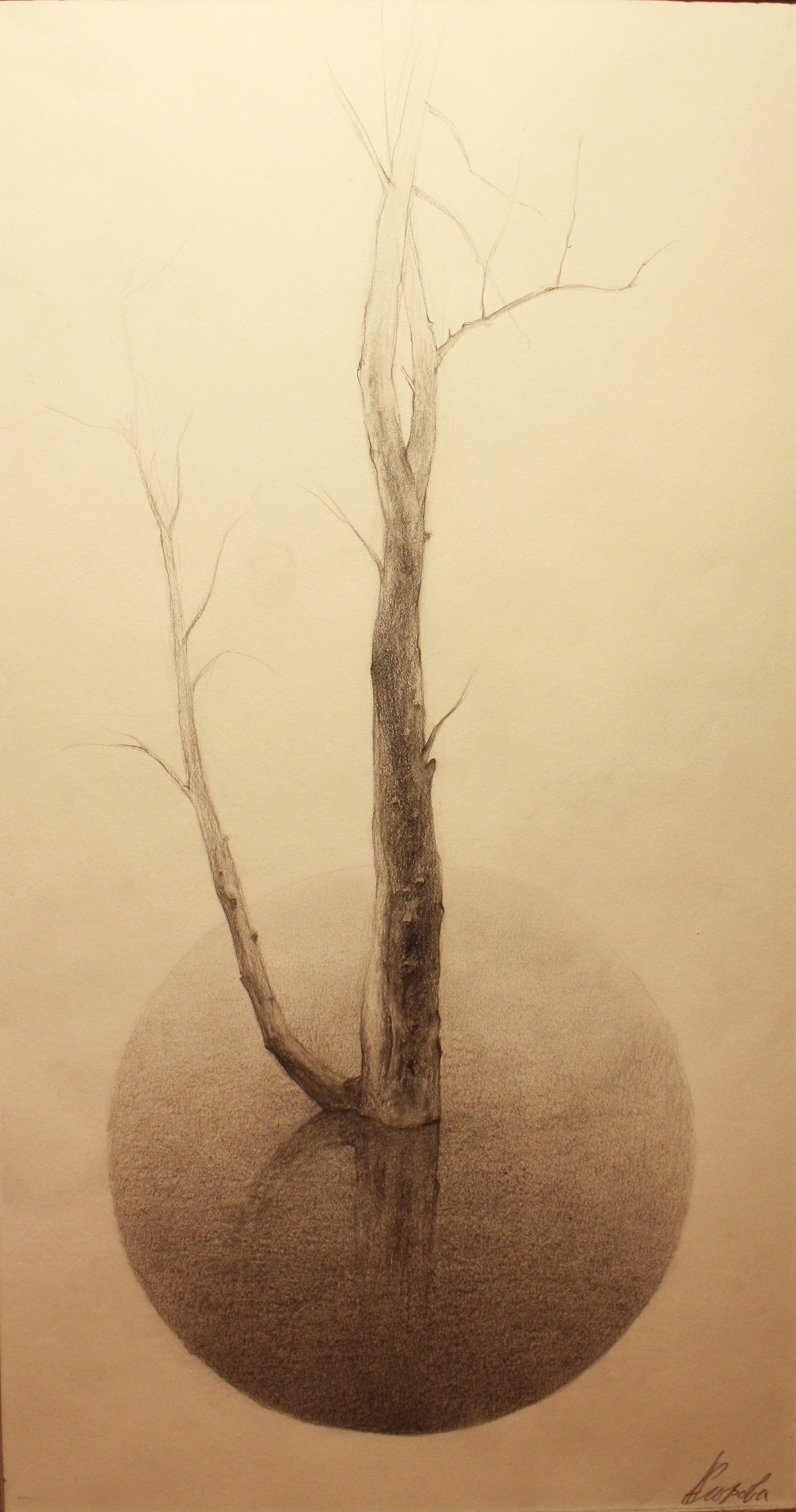 trees boughs pencil hands