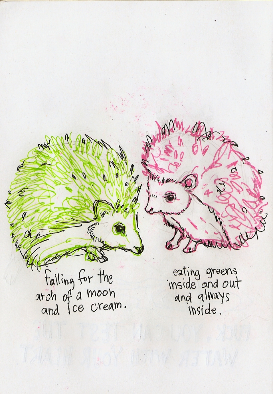 sketchbook animals colors text