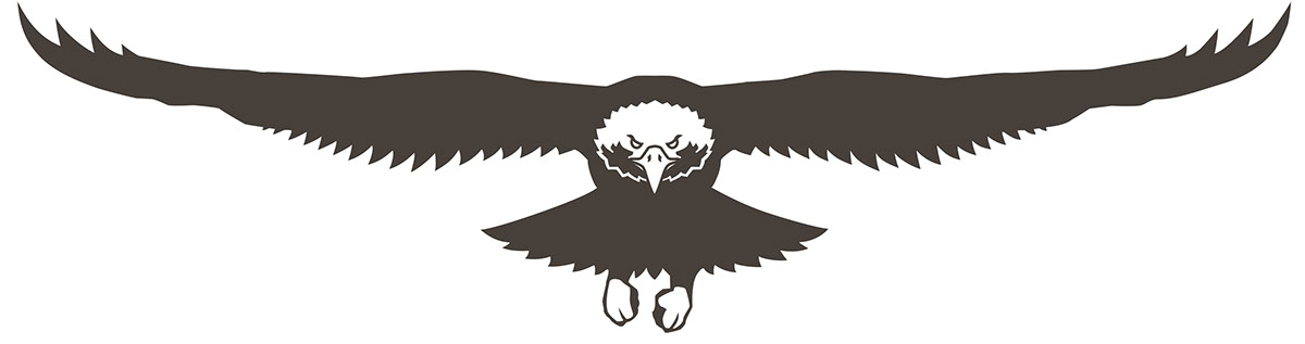 eagle star Military civilian american logo