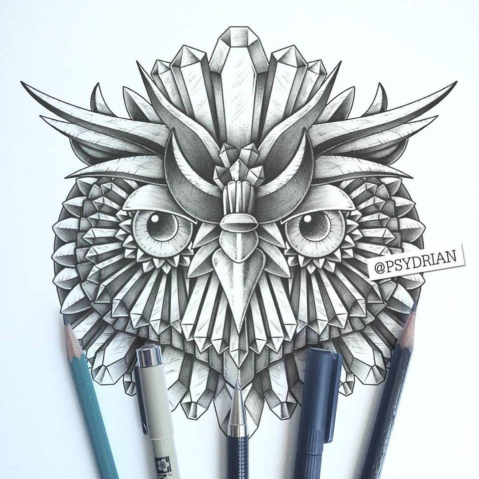 ornate art Hipster owl animal Nature tattoo Patterns Mandala zentangle ink geometrica artwork colors