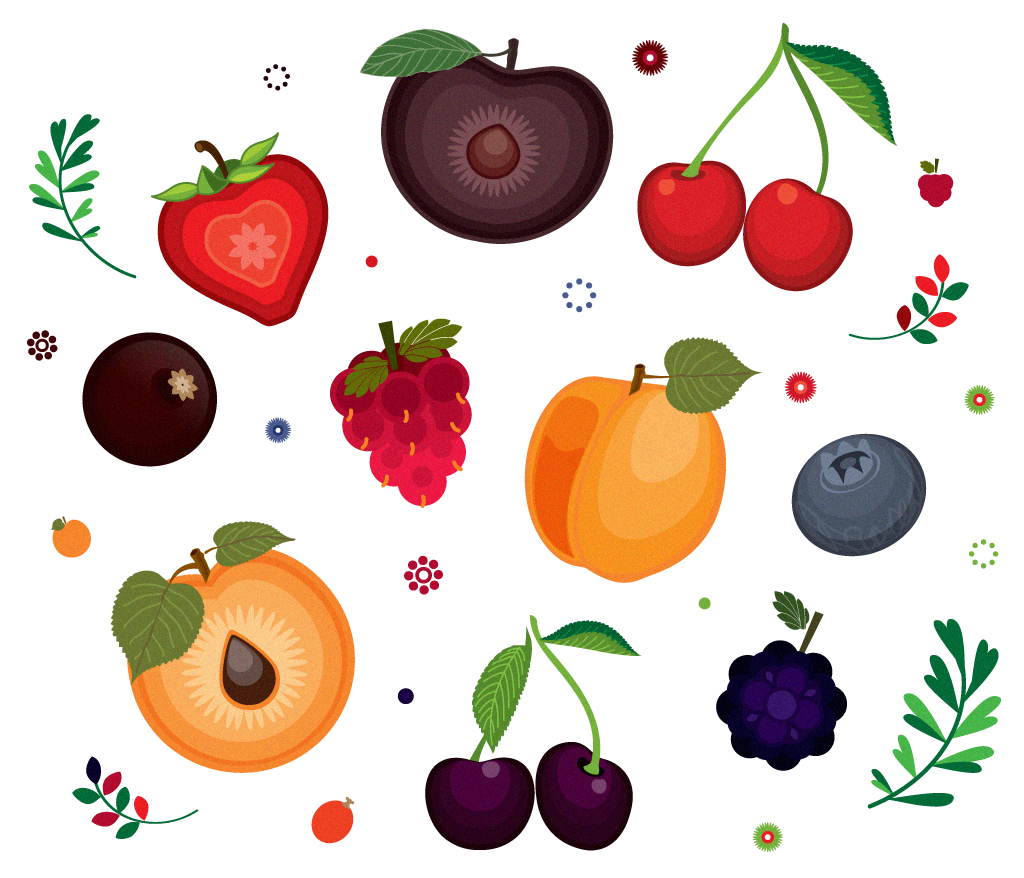illustrations fruits frutas Dulce patagonia mermeladas jam casero Sur argentina