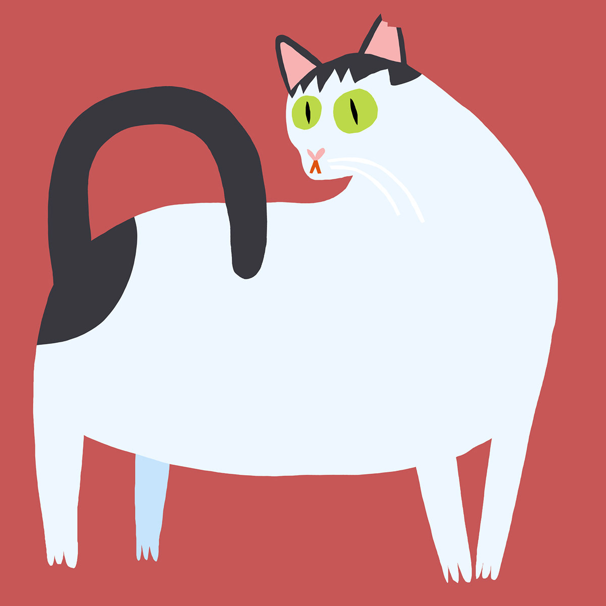 Cat animal Character digital illustration cartoon concept art portrait cat illustration