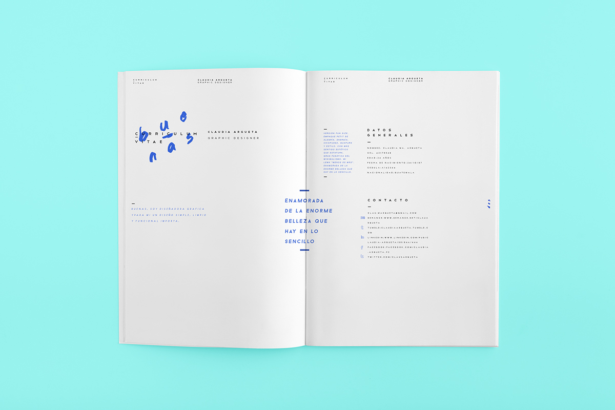 Identity Design Minimalism color pink blue curriculum CV personal project Resume