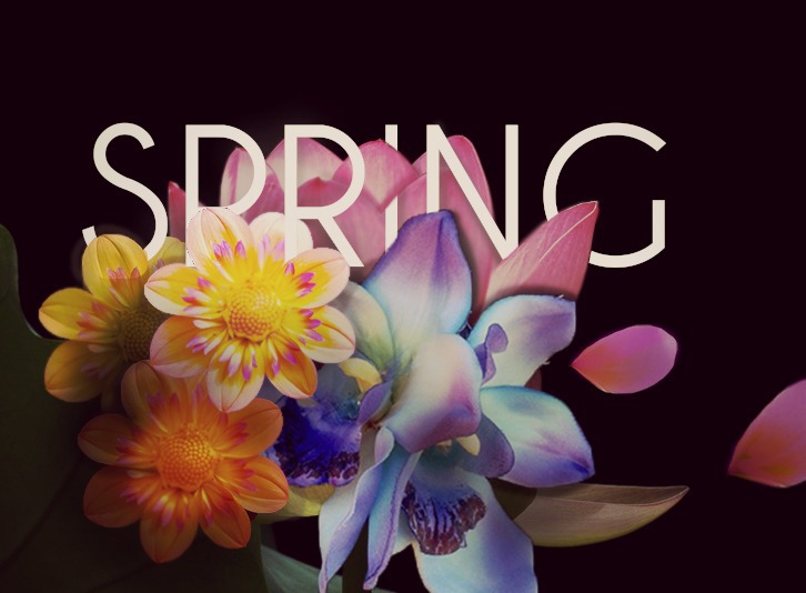 #flower #flowers #colors #heart #spring #text #prove #example #photoshop #graphic #design #graphicdesign #illustrator #photo #photography
