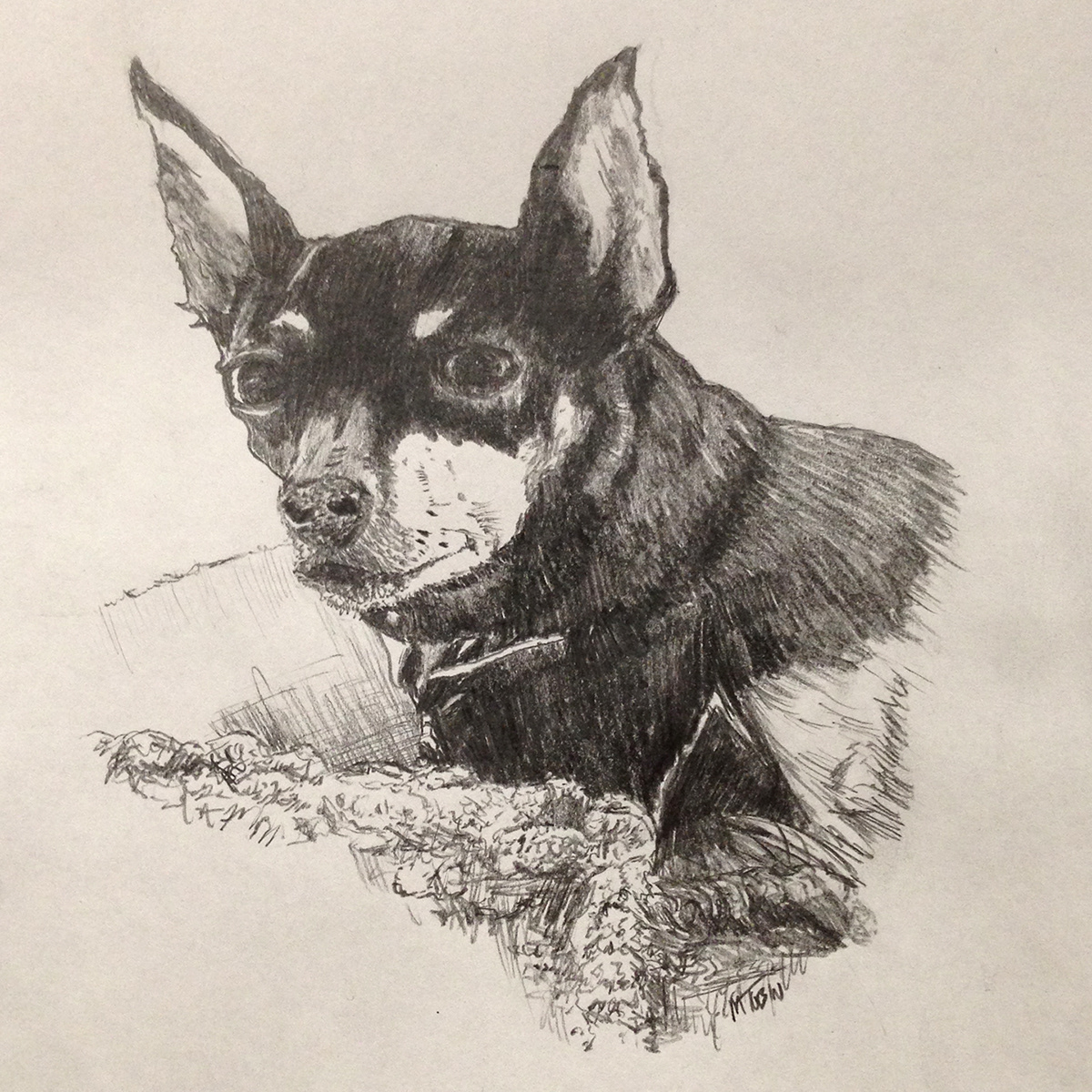 Illustation dog portrait