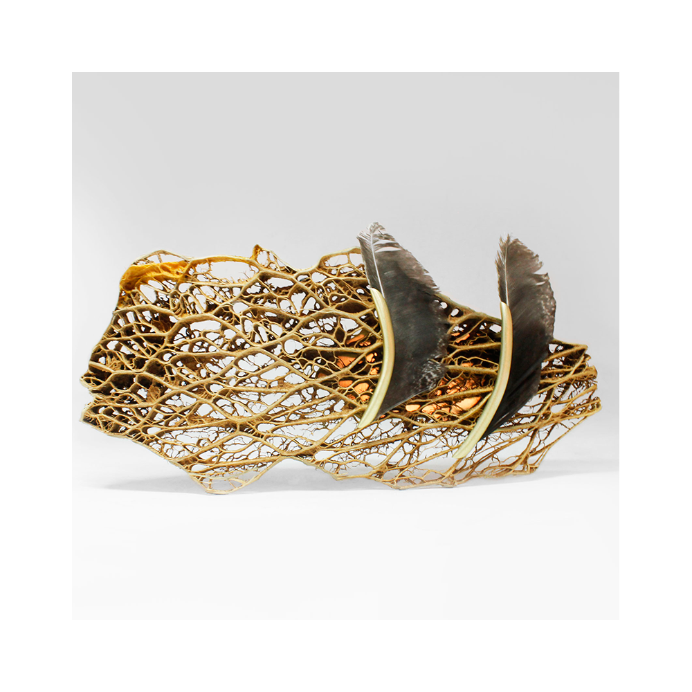 aretes Brazil jewelry week broche brooch collar earrings feathers joyeria madera de nopal Necklace