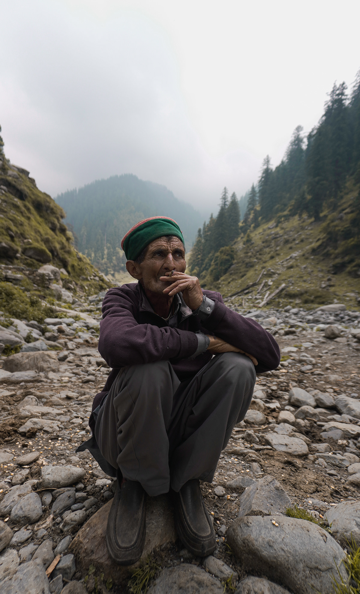 himalayas lamb mountains nomad Outdoor Photography  photoshoot portrait shephard