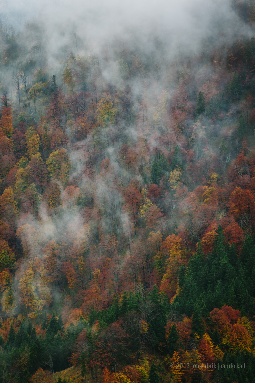 Nature austria kalkalpen Landscape autumn colours almkogel alps National Park