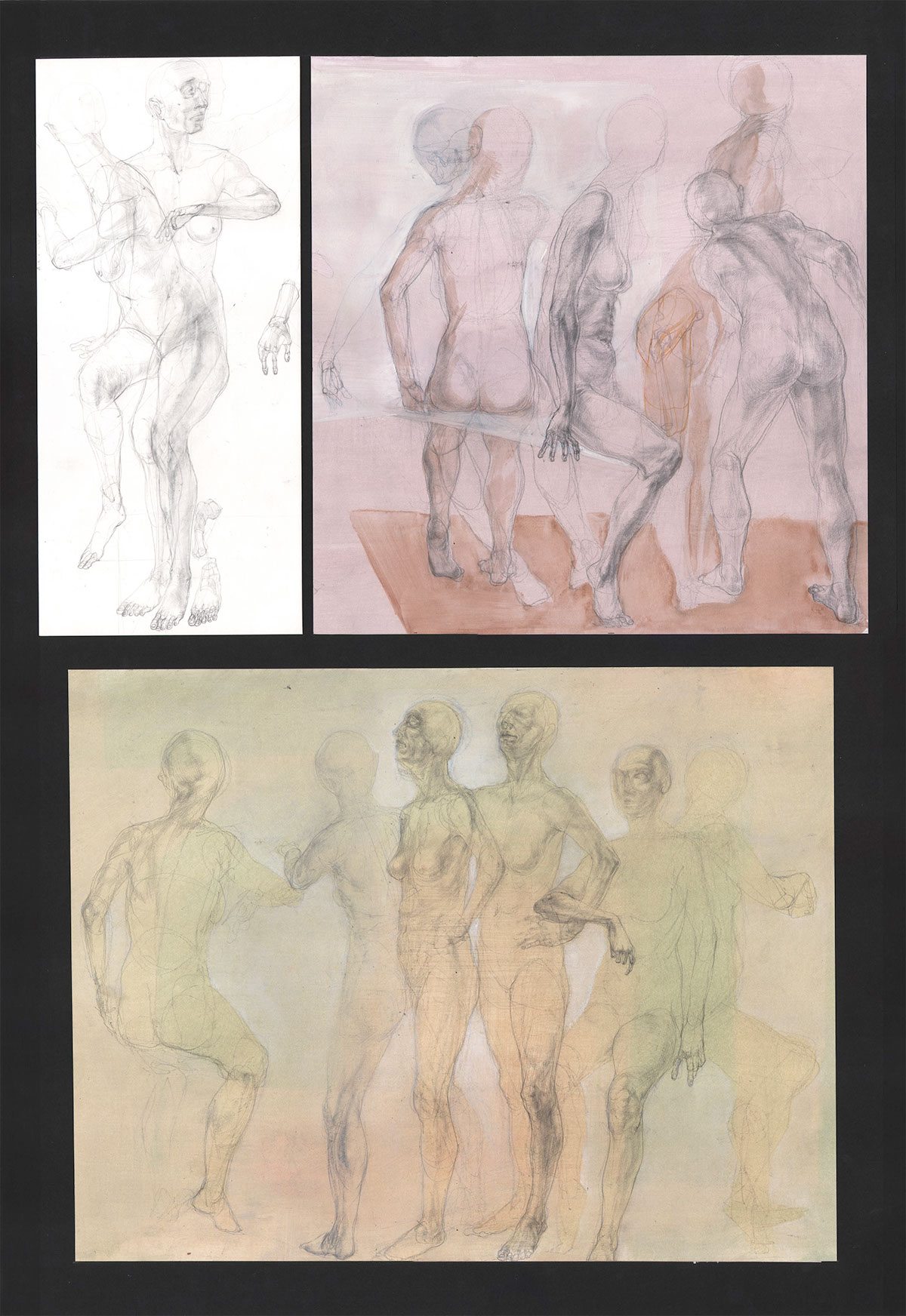 anatomy anatomy draw Drawing Bodies drawing the body charchter drawing