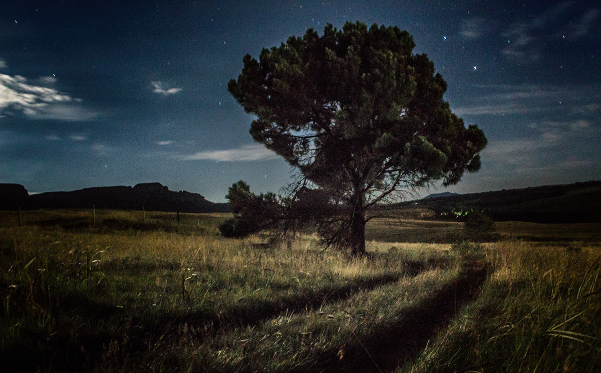 night Landscape Sean Konig south africa harrismith trees
