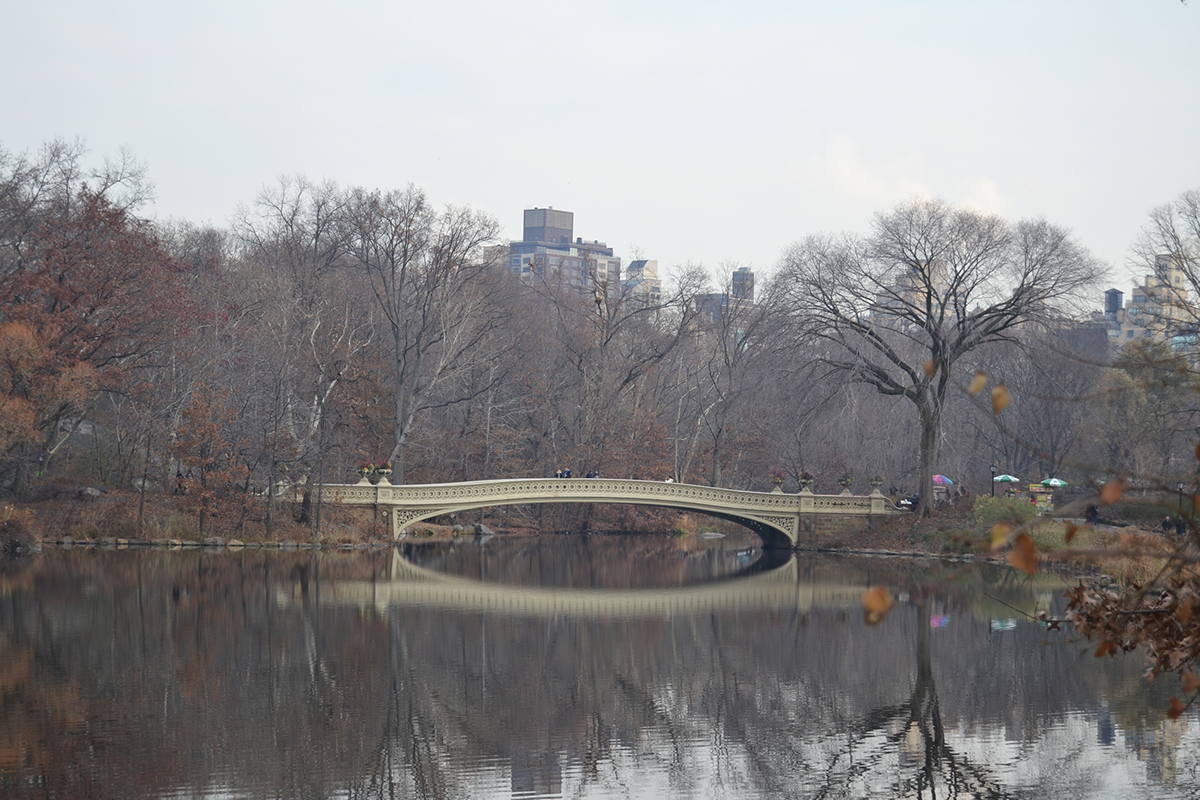 New York Central Park autumn winter bow bridge lake reflection running walking dogs Landscape Manhattan
