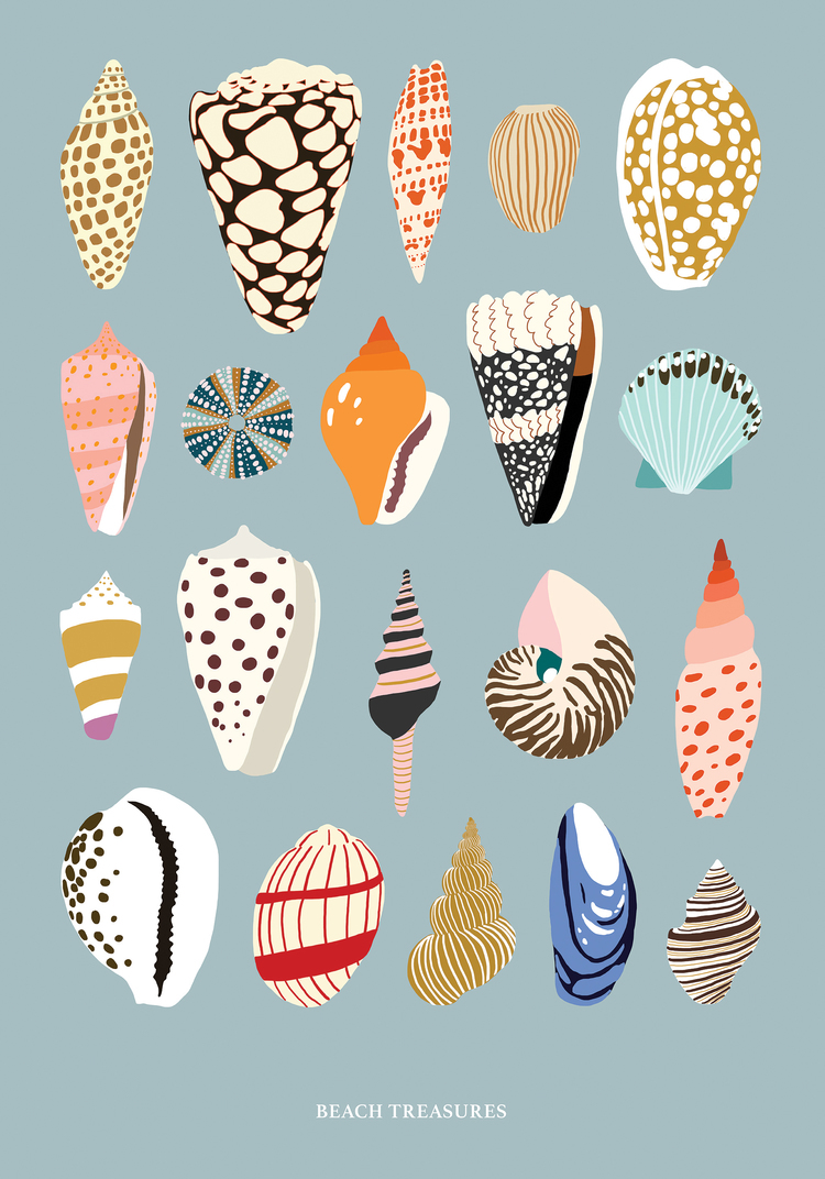 beach treasures poster Seashells