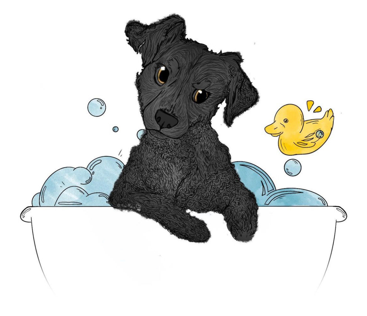 adobe bath dog Procreate rubber ducky
